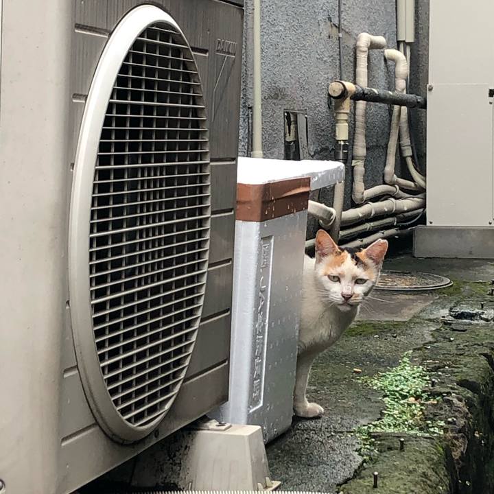 979856da 36be 45c9 854e f9e362eabdfc 1569071513063