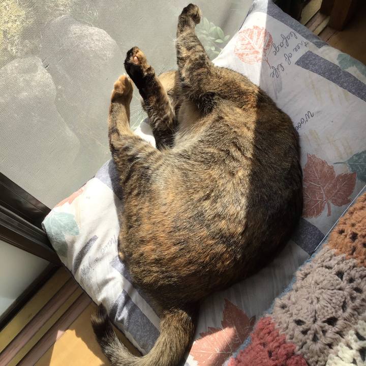 97986bb4 66d5 4578 ba42 7188926f34c9 1614829621174