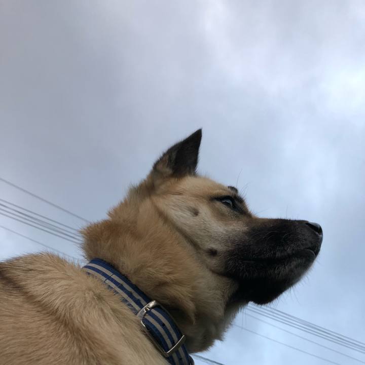 979872fb 1214 48a9 b6df bf92cede3611 1545048335442