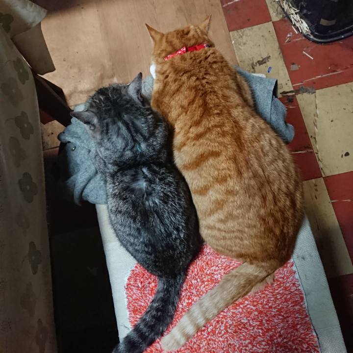 97989c69 8c3b 4d61 863c 08aecaec256e 1577223501494