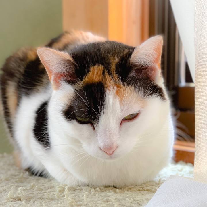 9798af02 8734 49a8 9337 b8b513dd7eb1 1558834963587