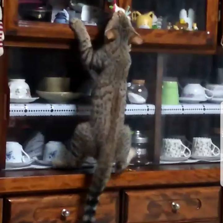 9799009f 22cb 4da1 94a9 53d0fcaf06b8 1568210729024