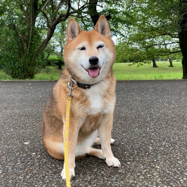 979902a2 493a 4e76 93d3 dc2bb527394d 1651030903571