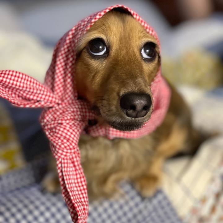 97990f4c 036e 4884 bbb8 0448b9bd7c1f 1631226246976