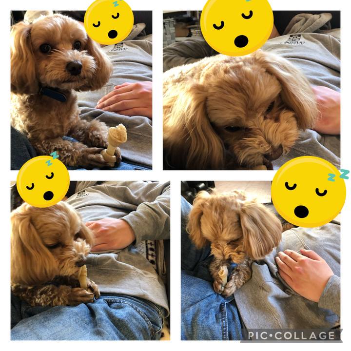 97990fe1 2b12 48a9 ac2d 761877d195f9 1613776310673