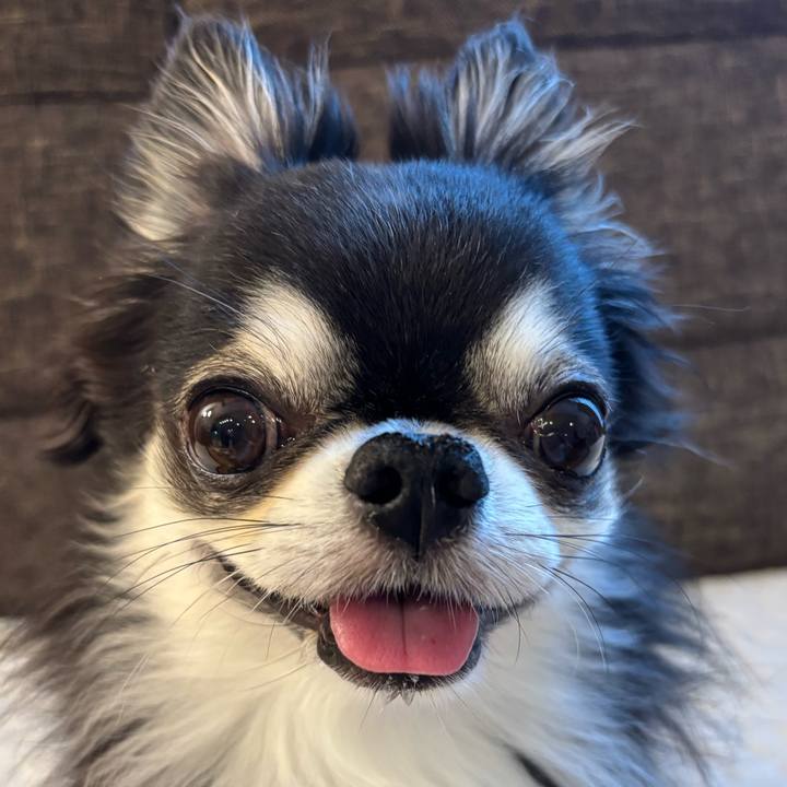 97992039 ed6f 4db8 ae34 d02fff513fb7 1750461737550