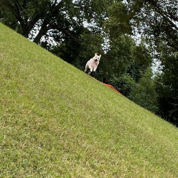 9799326f 67b8 41c2 a793 95486a75115c 1634895682240