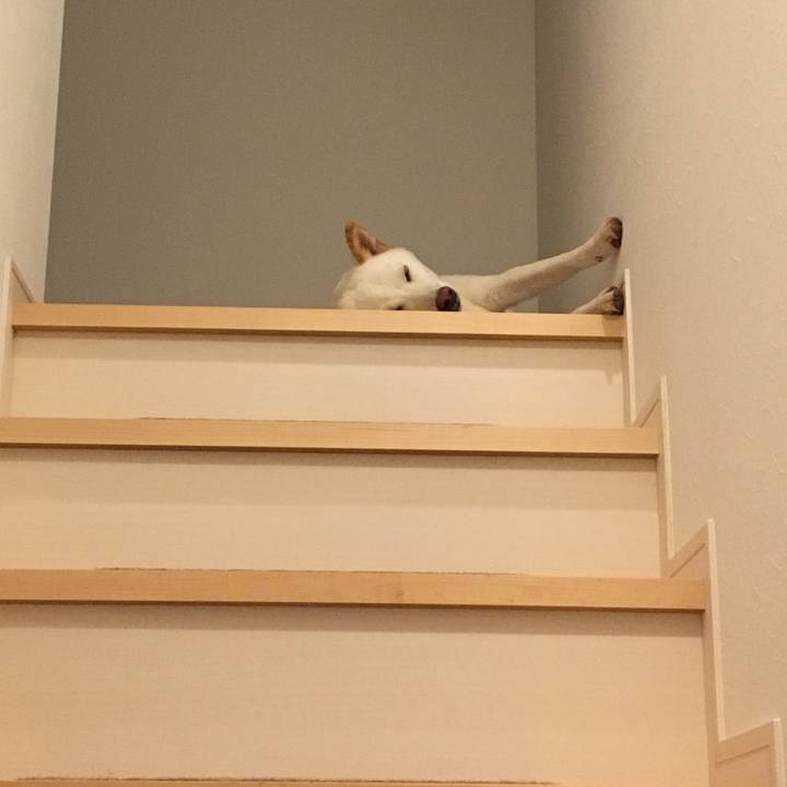 97993370 a25b 4241 a8bf 32ba65c37f3b 1539084490532