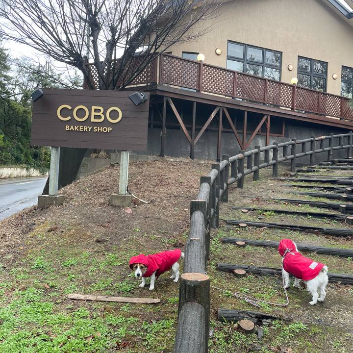 97993ba6 92a2 41cb b9e5 9fa6df642c20 1701561521271