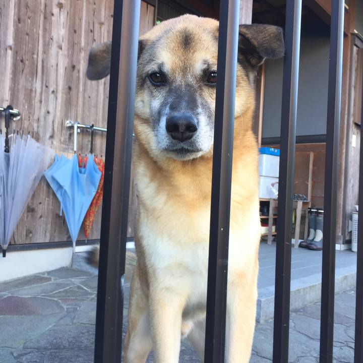 97995b51 1123 4d53 892f 101810076838 1509607128800