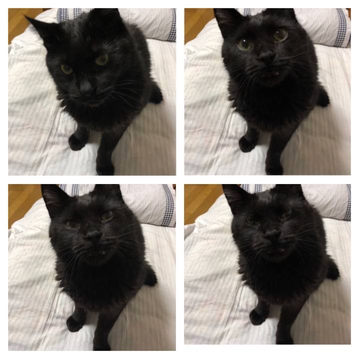 979970ff 9fff 46b9 837e 3a33f8ce1f68 1583410289154