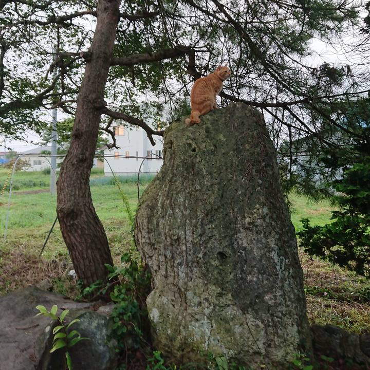 979972a2 4a63 481b 96a7 2dbda111450f 1662758340511