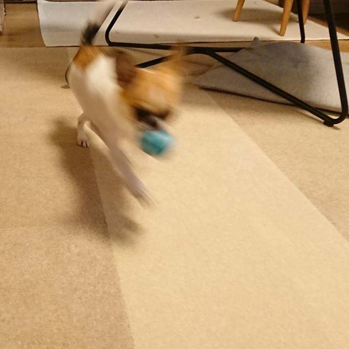 9799a496 09c8 4918 a864 f31bf126eeee 1576028381752