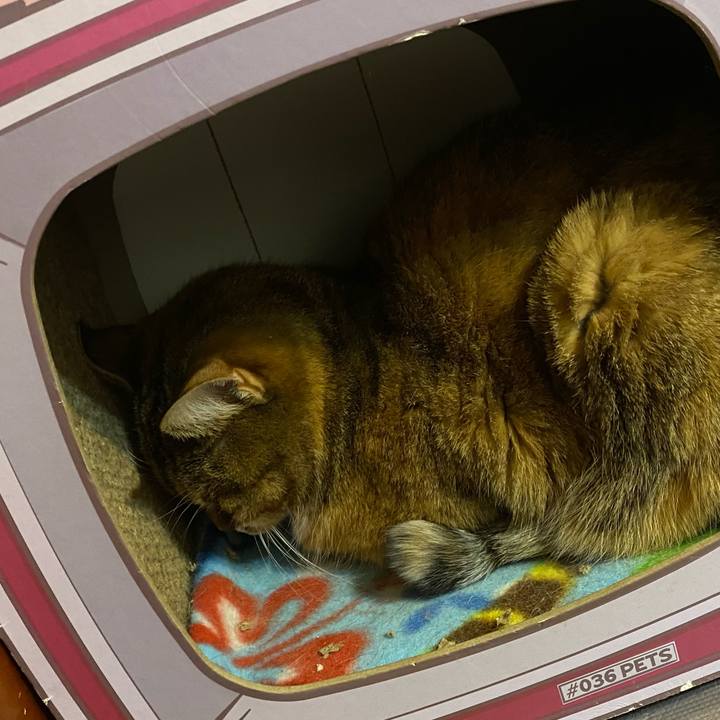 979a0e21 a83c 441b 8f83 621a4e62b1fc 1672934738871