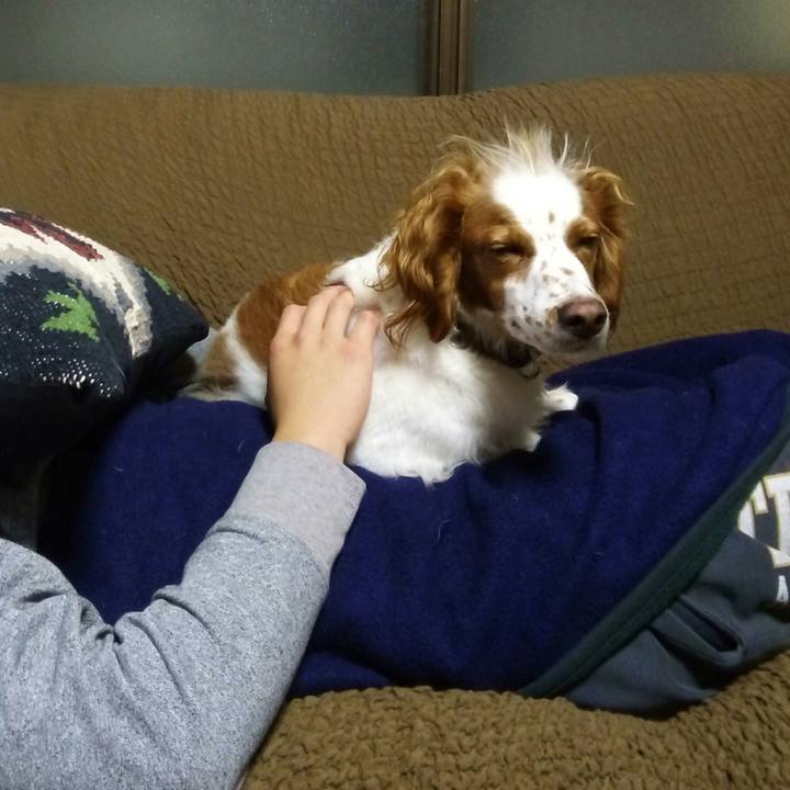 979a15b8 fc2b 41c7 83bd 143bac97aaa4 1511953529434