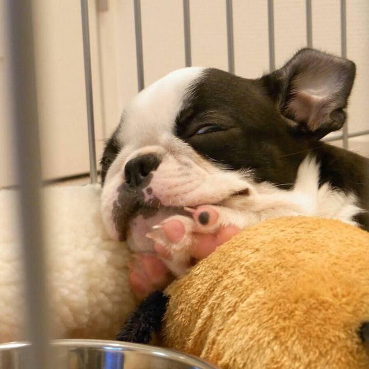 979a3521 bd4f 469f 8ac9 6dcddc512270 1538815016490