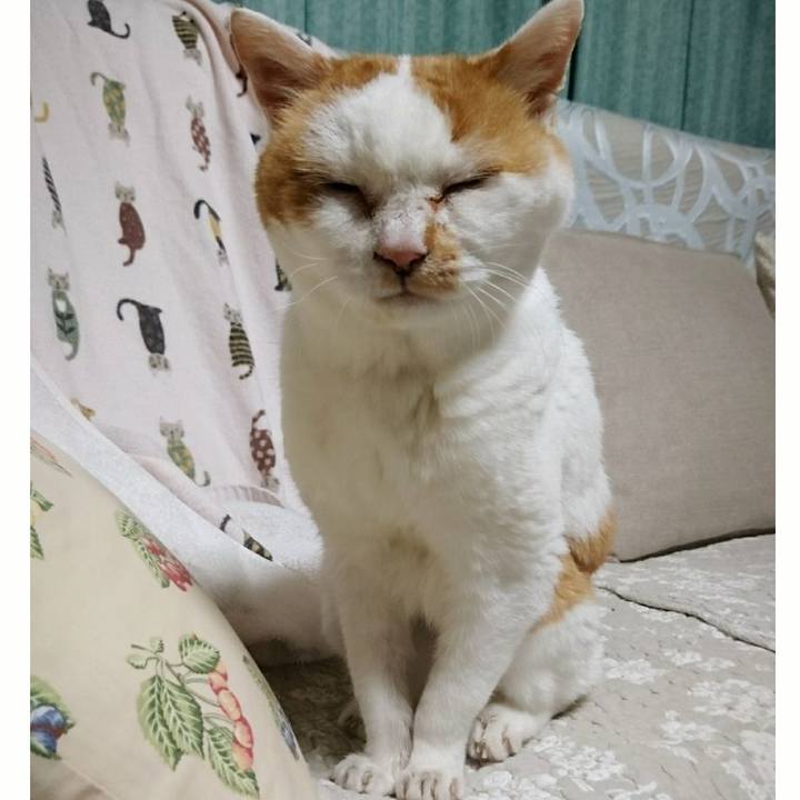 979a5885 3e9c 48d5 8cd5 d202a8586ca9 1566126171948