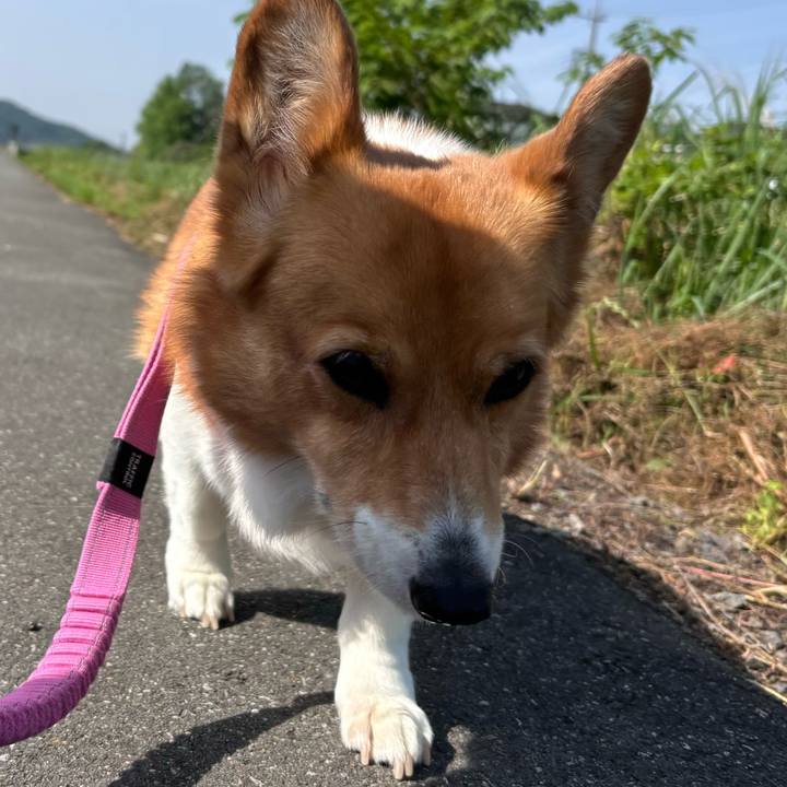 979a89e2 bf5c 41af 94d7 f0ee729c1aec 1747700290447