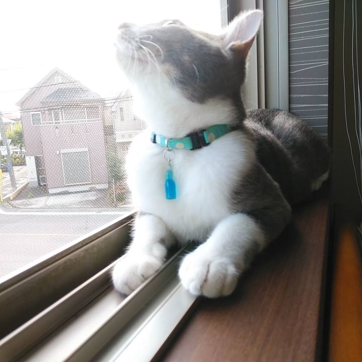 979abfad 718c 49b4 828f bfee5b76b02f 1593382689897