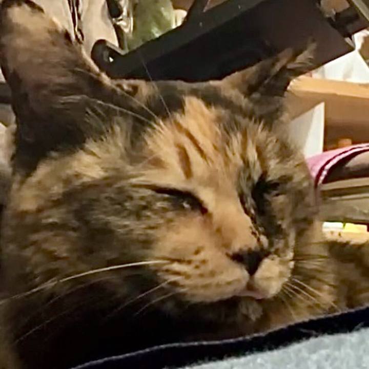 979ad529 65ff 4a25 9651 e1af9464a904 1739447678167