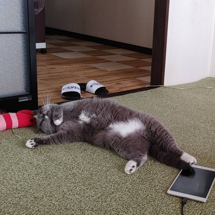 979ad7b0 88a1 4004 99e4 0476fd0a4ef4 1664444060702