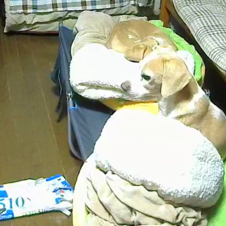 979add0d 4e58 4073 a62f b198d6e65b30 1522491372845