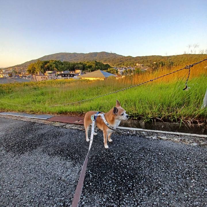 979b1dd4 3b96 4f5d b9b6 73c880c35a5a 1760651985792