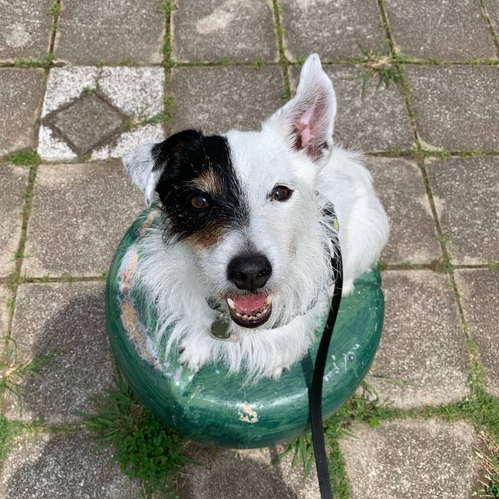 979b210d cef4 458b b746 dd5788e847ad 1716630144291