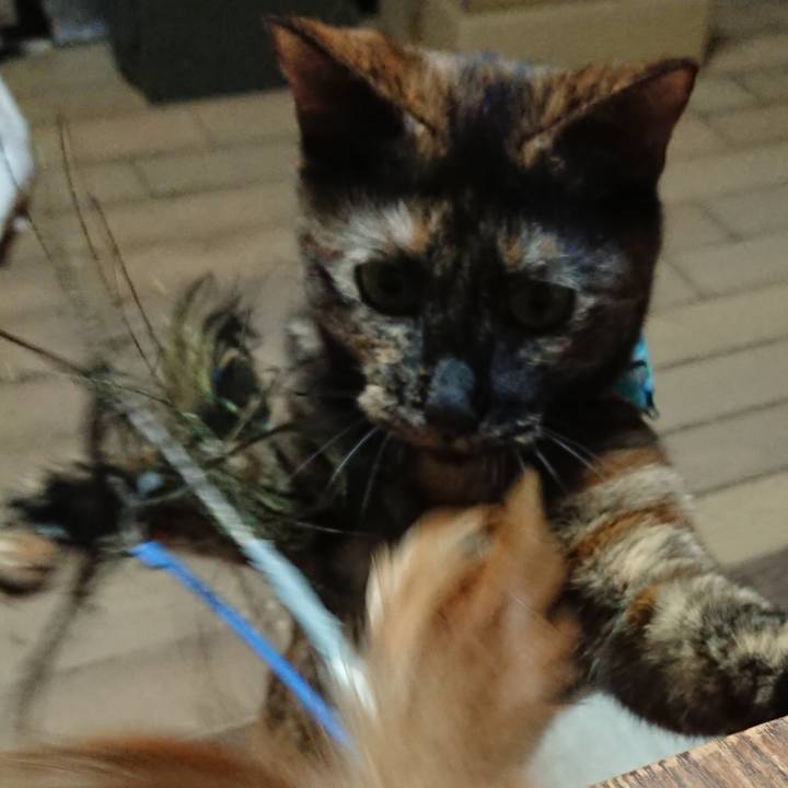 979b35f2 5b6a 4b3d 805f a6f81d3758fb 1534517110668