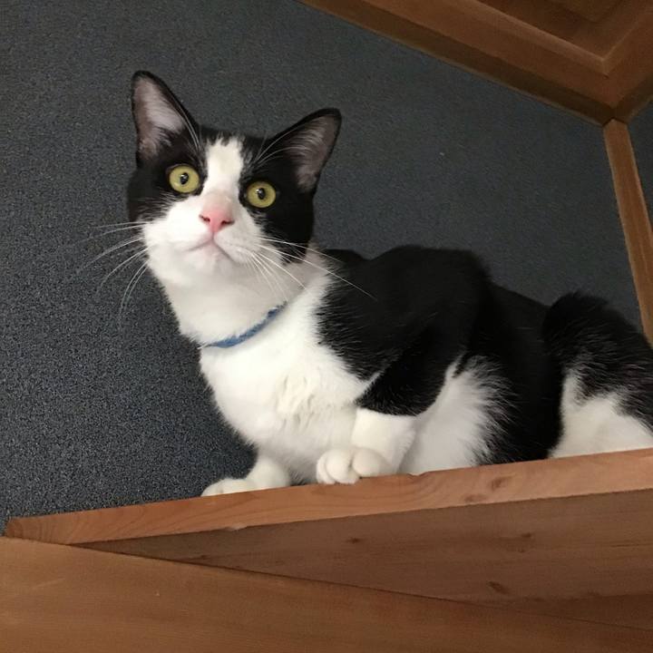 979b613b 7311 4f04 864a a9c01f1f6172 1659777330580