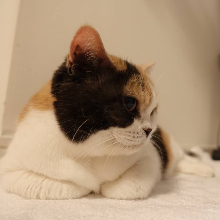 979b7170 9734 44d2 83df bd4ad3158fef 1533449321022