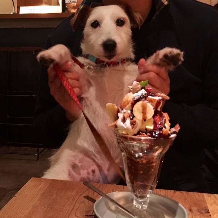 979b8146 1631 4a13 b770 b748ee7a399a 1546520417805