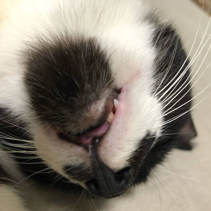 979b9679 2f74 4dba b9ea 90dffd21d0f7 1530929716914