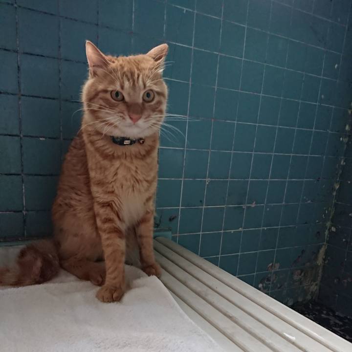 979b96a3 6b0f 4913 a25d 2dd5e1c71af7 1657792175082