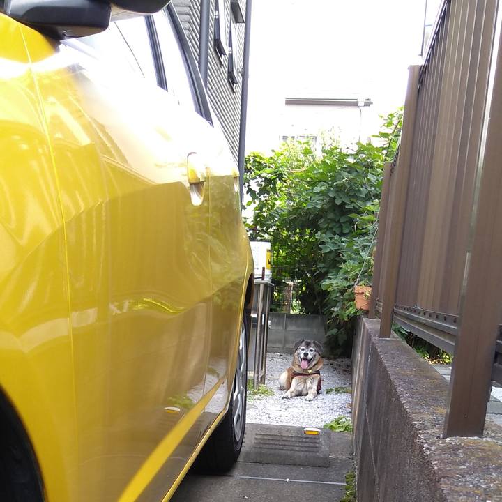 979bb760 ff36 4b3e be54 72df6440d4ba 1564702999632