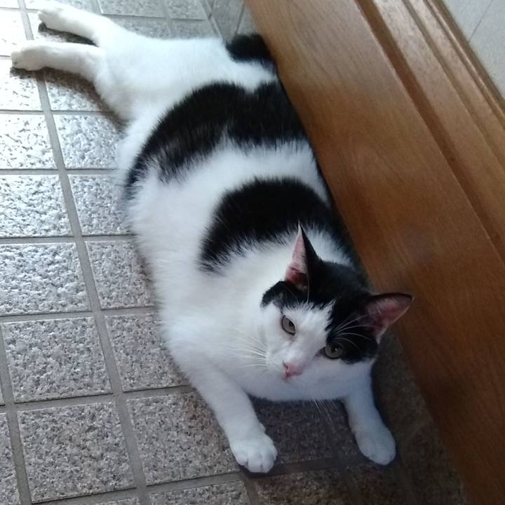 979bb851 5e17 47d4 a94a 3ea2d8c9ac46 1564913528868