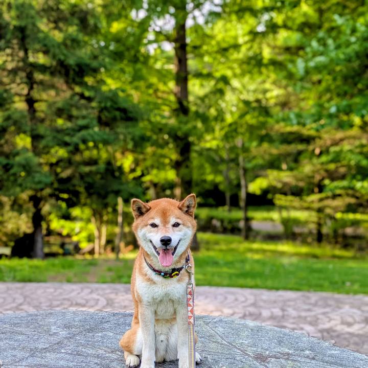 979bc648 72ba 4571 8384 522db735db03 1747801046127