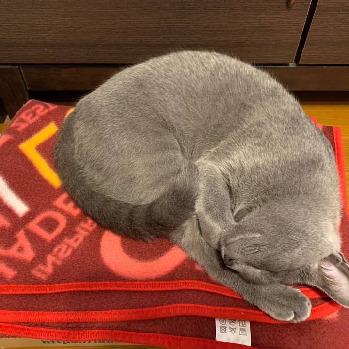 979bd73d 4399 44e1 9eed b94f1294ebe6 1574824606289