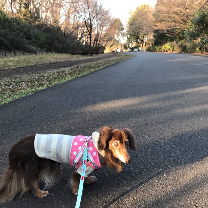 979be68c 96fc 409d b650 f97044b2d28f 1579590679927