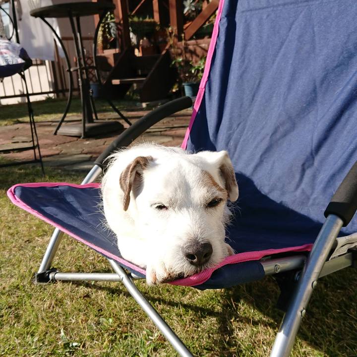 979c0b2b 6fa0 4bfa 8c56 baee13475e10 1543155060541