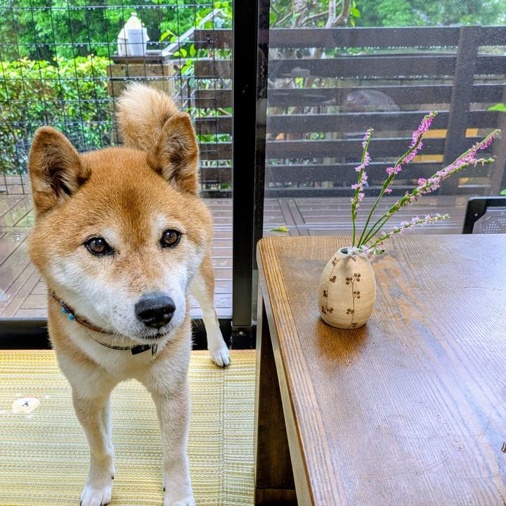 979c0d07 d8fd 42cb a046 2f13b93e86c3 1750933760223