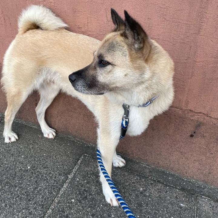 979c9128 d19c 4a38 bd6c 7c005f74be9b 1660912328607