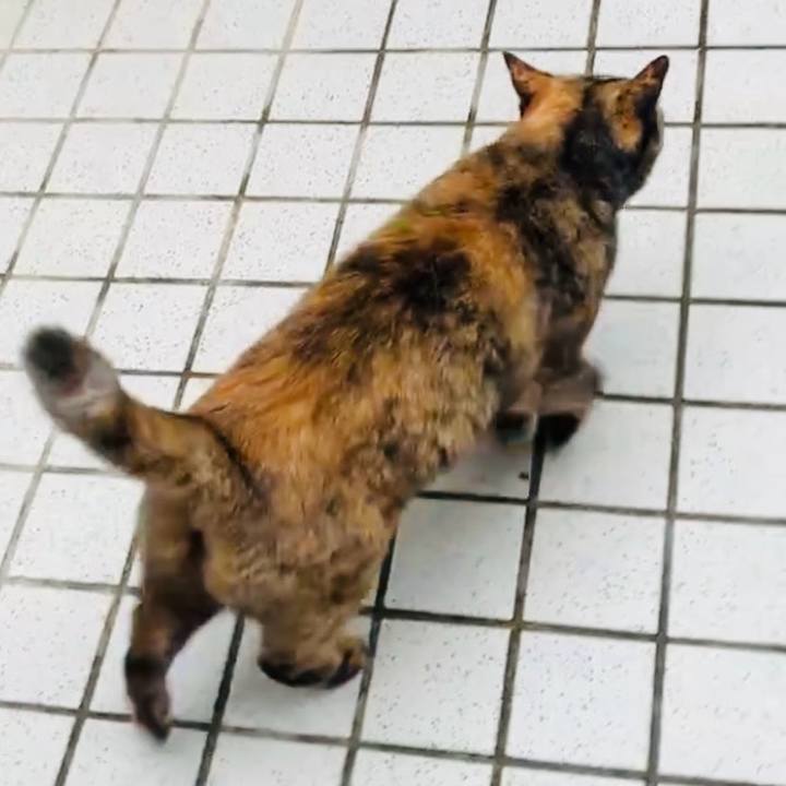 979c919f 3fe8 4f9f b7c7 4f6255e21a2f 1730090741917