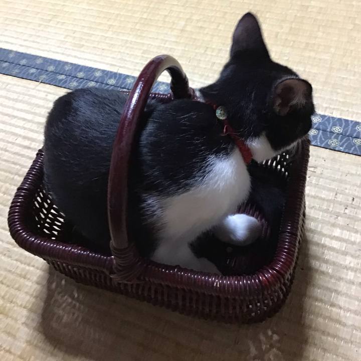 979cd22d 848e 4e6c a555 2b25d05f9ef5 1628420017728