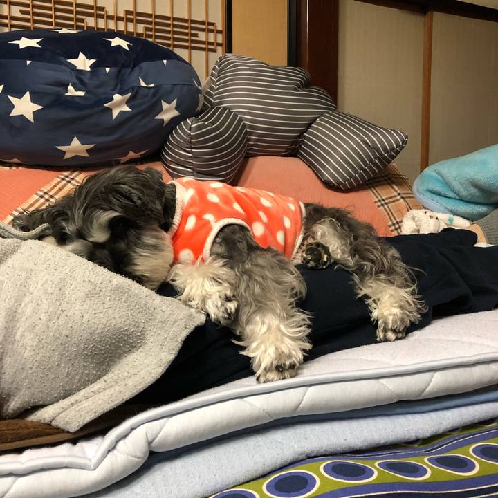 979cf743 4f85 48c7 a2a2 84d7af8d25cf 1670850932500