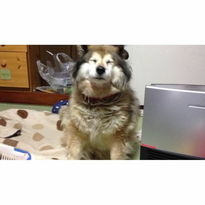 979cf812 0690 4c83 8355 16184341a0b0 1664918805419