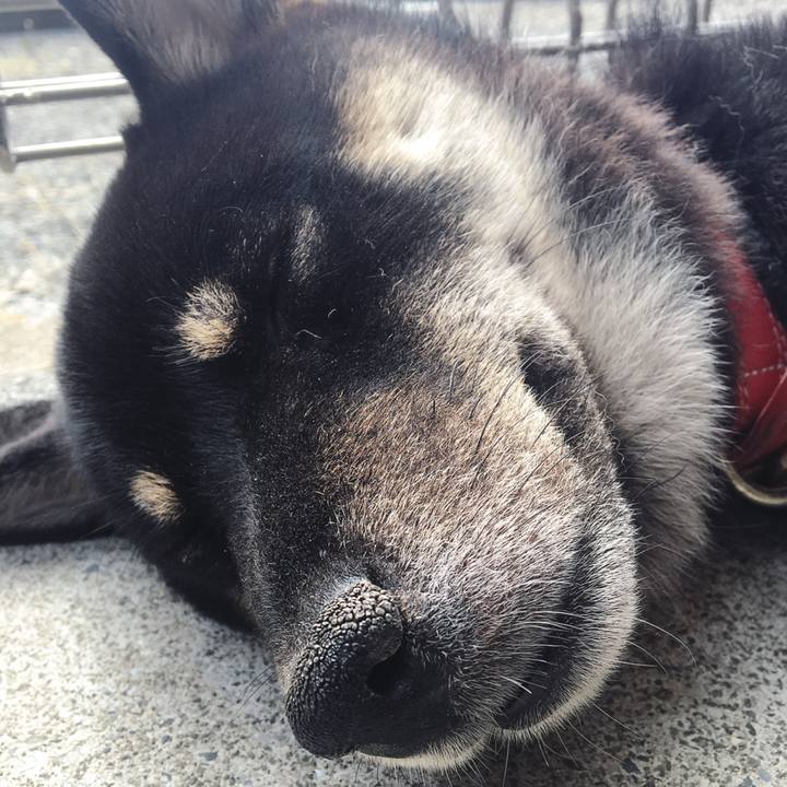 979d0833 206a 4321 9033 6ff130c19bf6 1527573754008