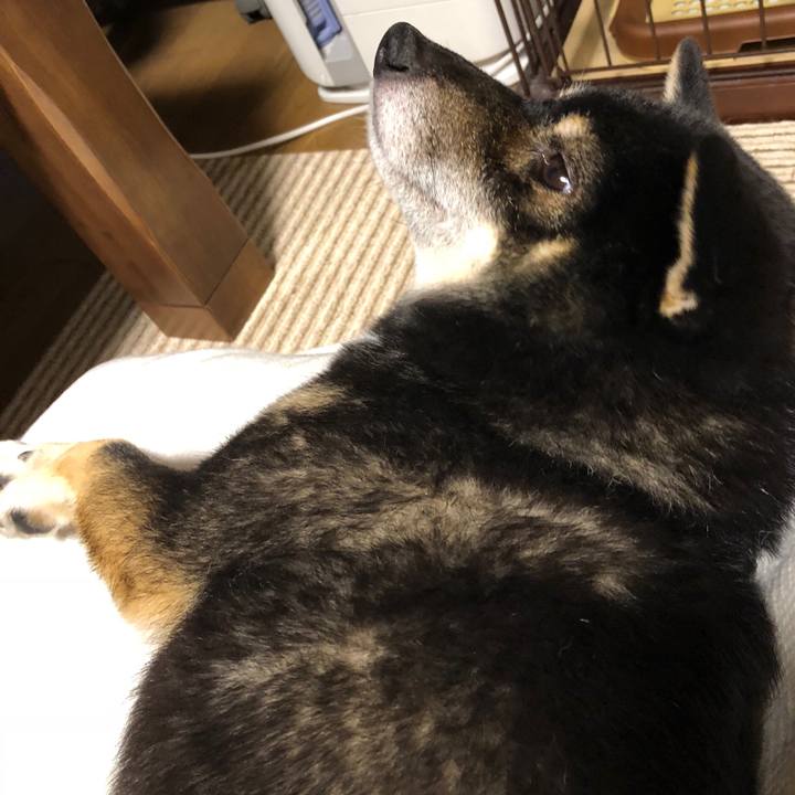 979d1177 01b5 4883 8c8c 9a949b782e20 1537348826038