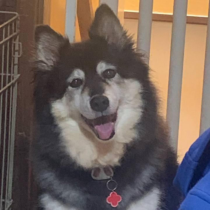 979d4bdf aaa6 43a4 b6be ff1fd3bd67ae 1689519986314