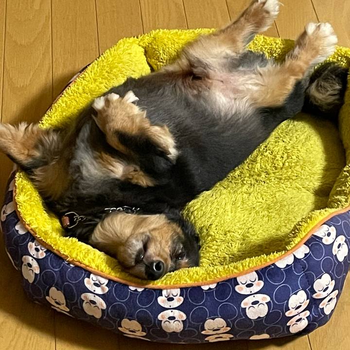 979d4ec6 3038 4580 96fd 927076ccf78b 1629923673809